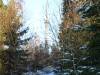 dsc_0212_23198 dsc_0212_23198