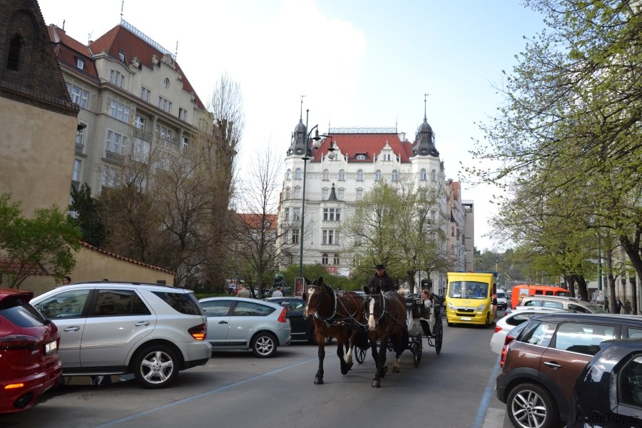 dsc_0861_49066