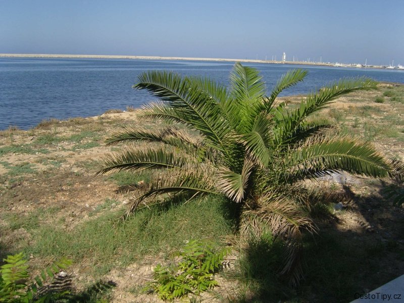 SAMSUNG DIGITAL CAMERA