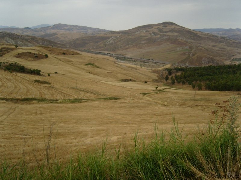 SAMSUNG DIGITAL CAMERA