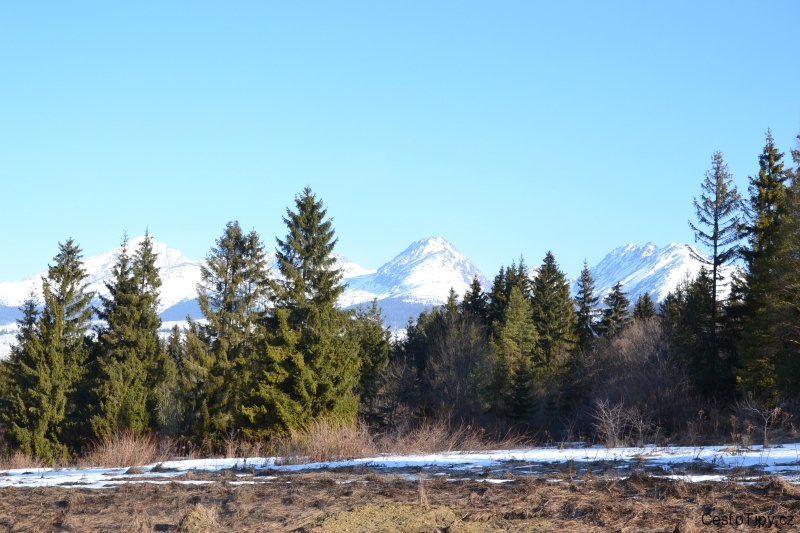 DSC_0735_7274