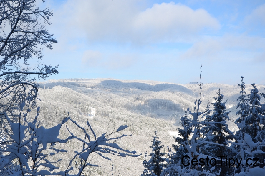 DSC_6508_84935