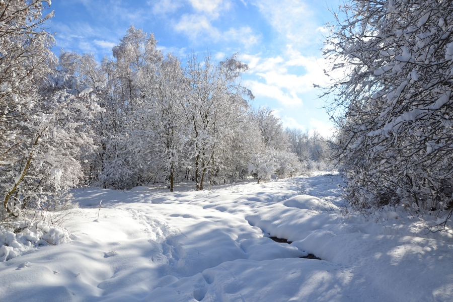 DSC_6561_84988
